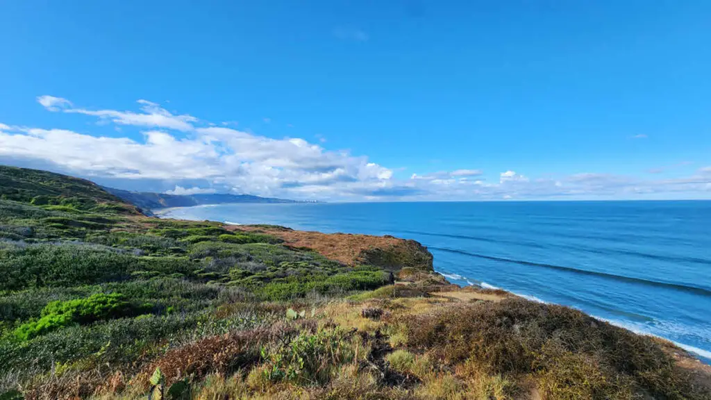 Torrey Pines State Natural Reserve San Diego